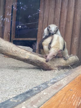 神戸どうぶつ王国に投稿された画像（2024/1/7）