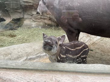 神戸どうぶつ王国に投稿された画像（2024/1/7）