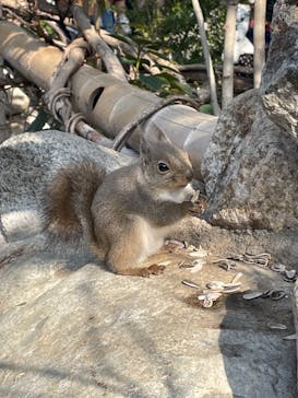 神戸どうぶつ王国に投稿された画像（2024/1/7）