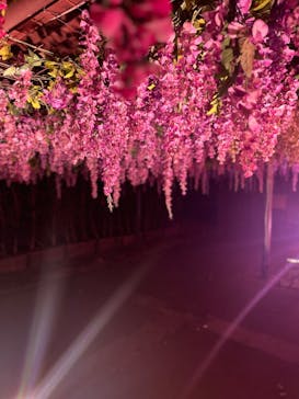 東京メガイルミに投稿された画像（2024/1/7）