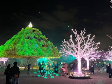 東京メガイルミに投稿された画像（2024/1/7）