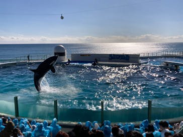 鴨川シーワールドに投稿された画像（2024/1/7）