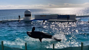 鴨川シーワールドに投稿された画像（2024/1/7）