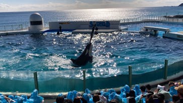 鴨川シーワールドに投稿された画像（2024/1/7）