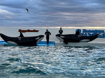 鴨川シーワールドに投稿された画像（2024/1/7）