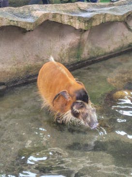 那須どうぶつ王国に投稿された画像（2024/1/7）