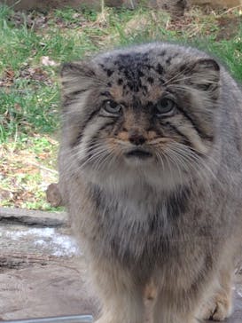 那須どうぶつ王国に投稿された画像（2024/1/7）