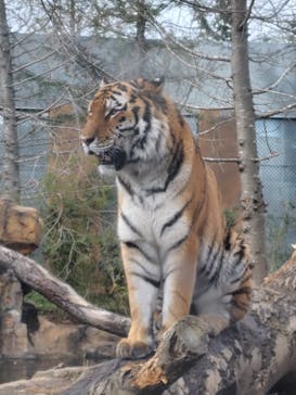 那須どうぶつ王国に投稿された画像（2024/1/7）