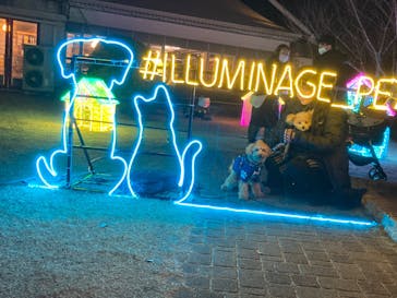 神戸イルミナージュに投稿された画像（2024/1/7）