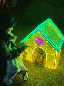 神戸イルミナージュに投稿された画像（2024/1/7）