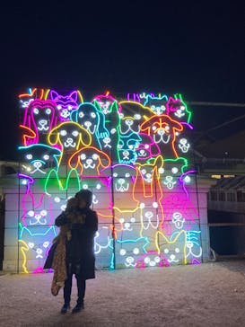 神戸イルミナージュに投稿された画像（2024/1/7）