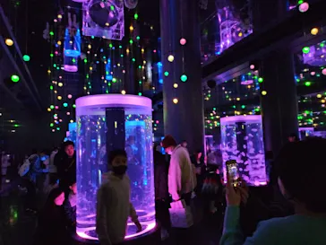 マクセル アクアパーク品川に投稿された画像（2024/1/7）