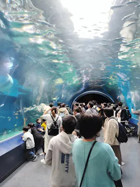 マクセル アクアパーク品川に投稿された画像（2024/1/7）