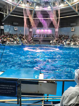 マクセル アクアパーク品川に投稿された画像（2024/1/7）