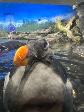 鴨川シーワールドに投稿された画像（2024/1/7）