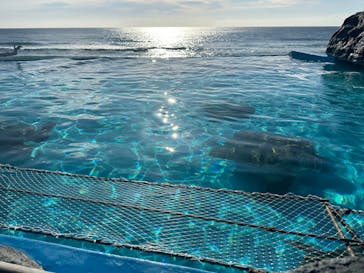 鴨川シーワールドに投稿された画像（2024/1/7）