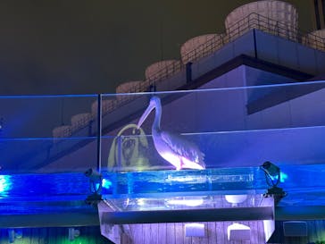 サンシャイン水族館に投稿された画像（2024/1/7）