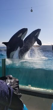 鴨川シーワールドに投稿された画像（2024/1/7）