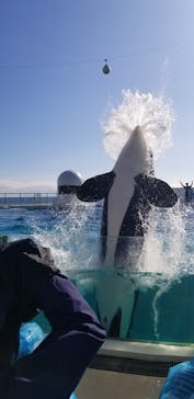 鴨川シーワールドに投稿された画像（2024/1/7）