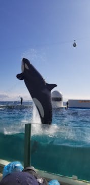 鴨川シーワールドに投稿された画像（2024/1/7）