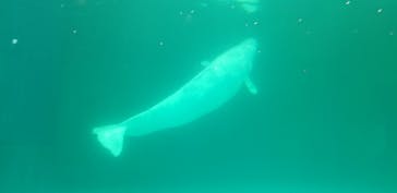 鴨川シーワールドに投稿された画像（2024/1/7）