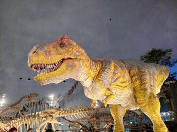 福井県立恐竜博物館に投稿された画像（2024/1/7）