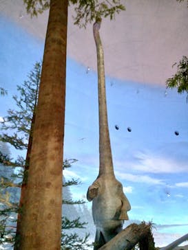 福井県立恐竜博物館に投稿された画像（2024/1/7）