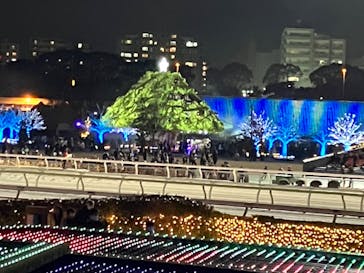 東京メガイルミに投稿された画像（2024/1/7）