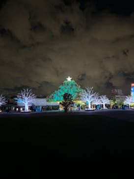 東京メガイルミに投稿された画像（2024/1/7）