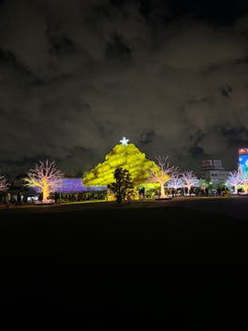 東京メガイルミに投稿された画像（2024/1/7）