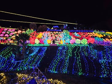 伊豆ぐらんぱる公園に投稿された画像（2024/1/7）