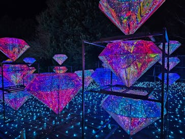 伊豆ぐらんぱる公園に投稿された画像（2024/1/7）