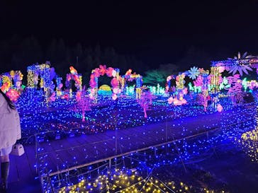 伊豆ぐらんぱる公園に投稿された画像（2024/1/7）