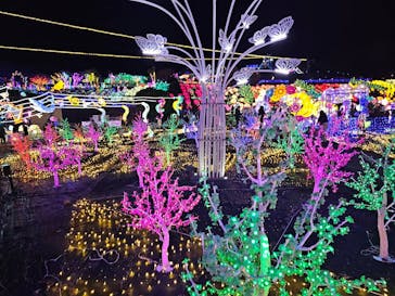 伊豆ぐらんぱる公園に投稿された画像（2024/1/7）