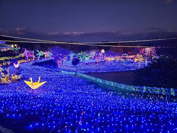 伊豆ぐらんぱる公園に投稿された画像（2024/1/7）