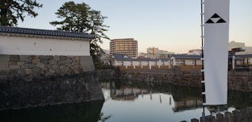 小田原城に投稿された画像（2024/1/7）