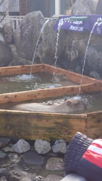 那須どうぶつ王国に投稿された画像（2024/1/7）