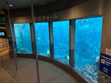 下田海中水族館に投稿された画像（2024/1/7）