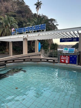 下田海中水族館に投稿された画像（2024/1/7）