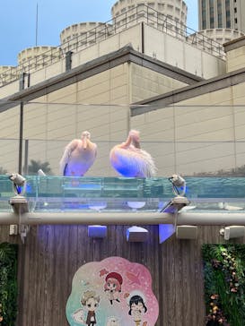 サンシャイン水族館に投稿された画像（2024/1/7）