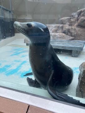 サンシャイン水族館に投稿された画像（2024/1/7）