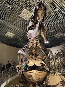 国立科学博物館に投稿された画像（2024/1/7）