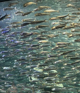 サンシャイン水族館に投稿された画像（2024/1/7）