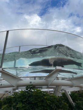 サンシャイン水族館に投稿された画像（2024/1/7）