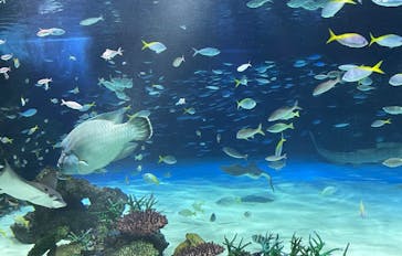 サンシャイン水族館に投稿された画像（2024/1/7）