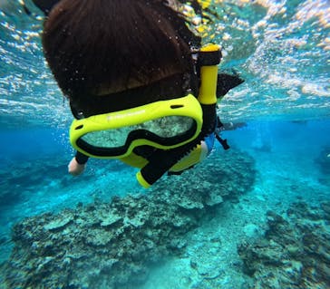 石垣島 ADVENTURE PiPi（イシガキジマアドベンチャーピピ）に投稿された画像（2024/1/8）