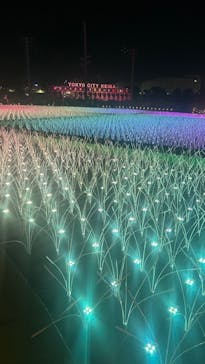 東京メガイルミに投稿された画像（2024/1/8）