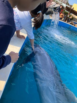 南知多ビーチランド＆南知多おもちゃ王国に投稿された画像（2024/1/8）