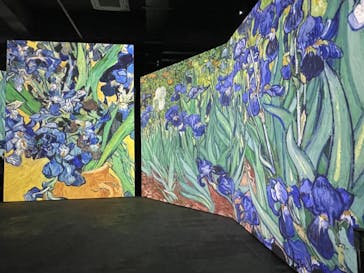 ゴッホ・アライブに投稿された画像（2024/1/8）