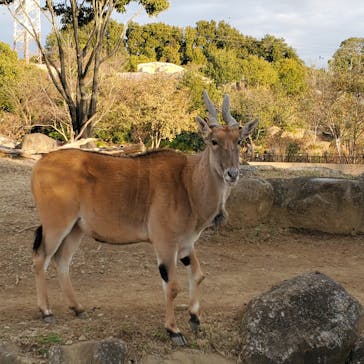 よこはま動物園ズーラシアに投稿された画像（2024/1/8）
